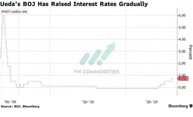 Ng&acirc;n h&agrave;ng Trung ương Nhật Bản (BOJ) giữ l&atilde;i suất 0.75%, đ&uacute;ng kỳ vọng